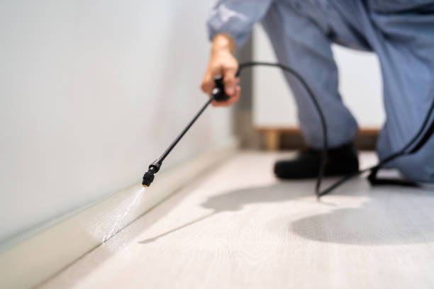 Licensed Exterminator service in Highpoint, OH - Show Me Pest Control